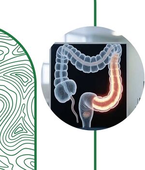 مزایا و محدودیت‌ های عکس رنگی 