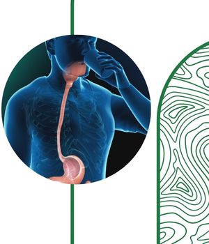 مراحل انجام باریم سوالو