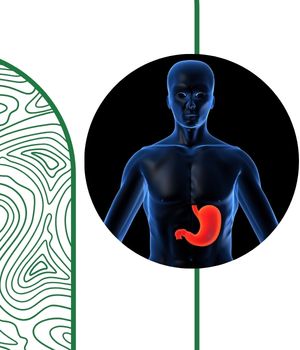 کاربردهای رادیولوژی معده با ماده حاجب